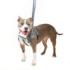 Reflective Black Freedom No-Pull Dog Harness - Image 4