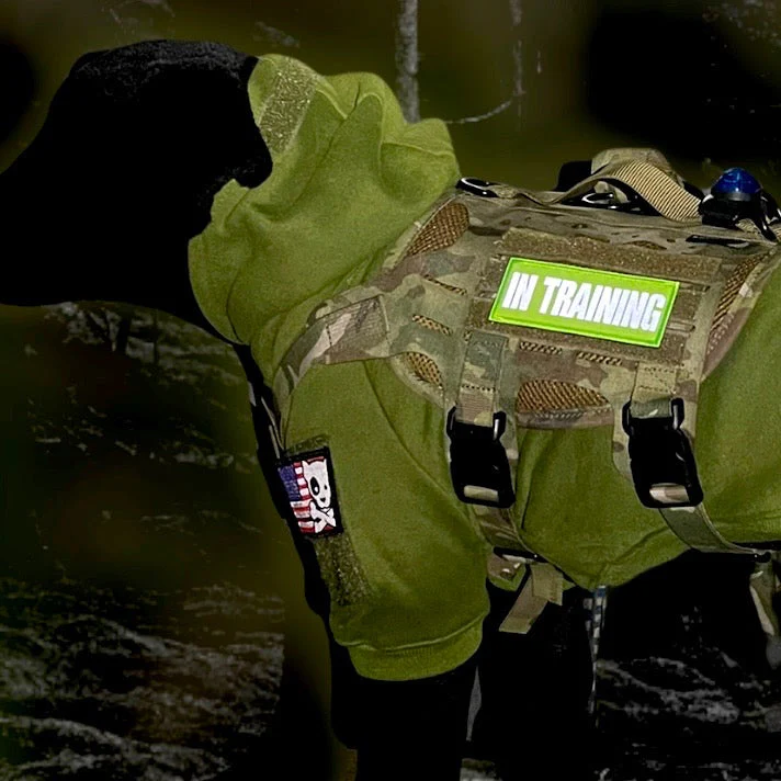 REFLECTIVE HIGH VISIBILITY NEON Tag Patch - Image 3