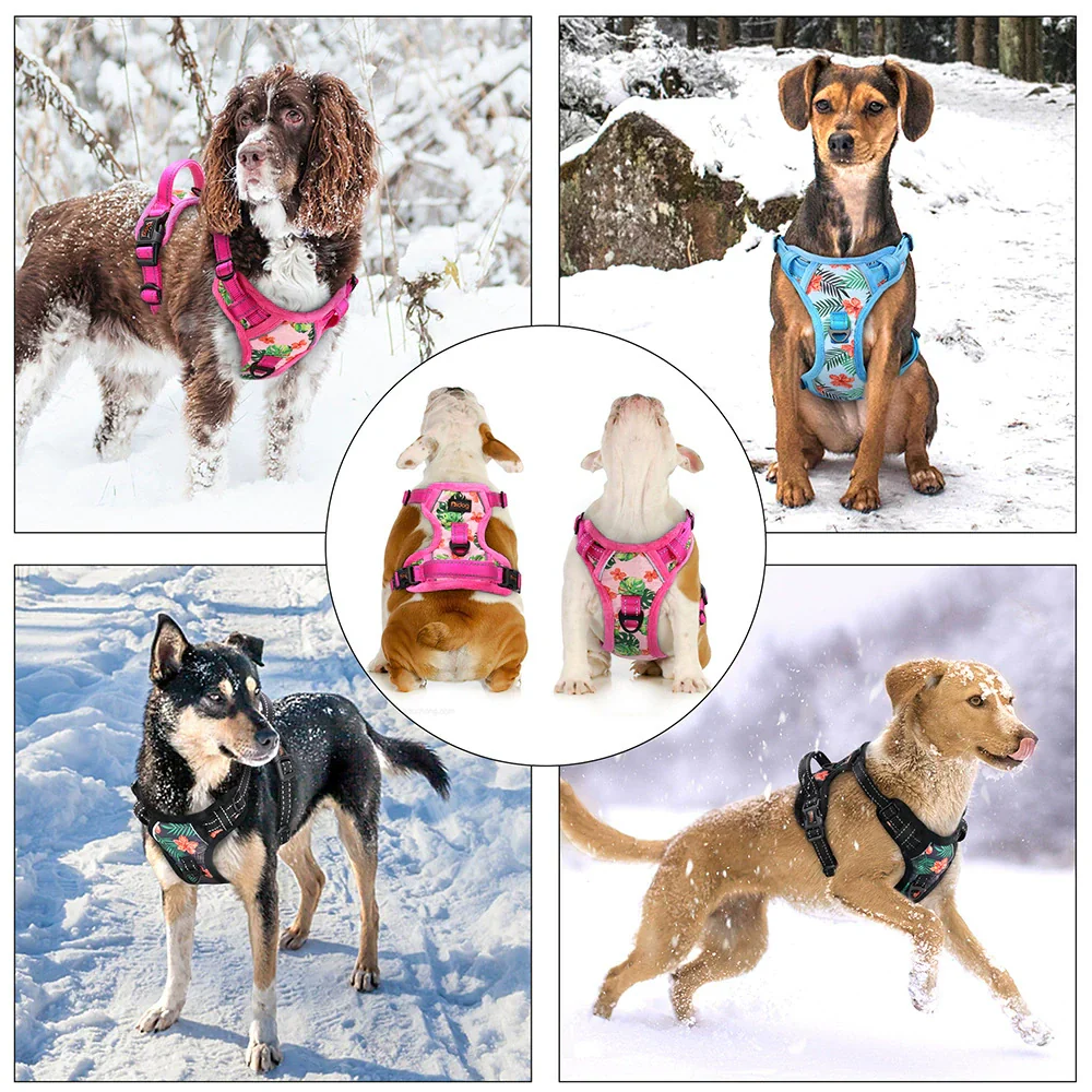Reflective Padded Dog Harness+Leash Set with Floral Print - Image 7