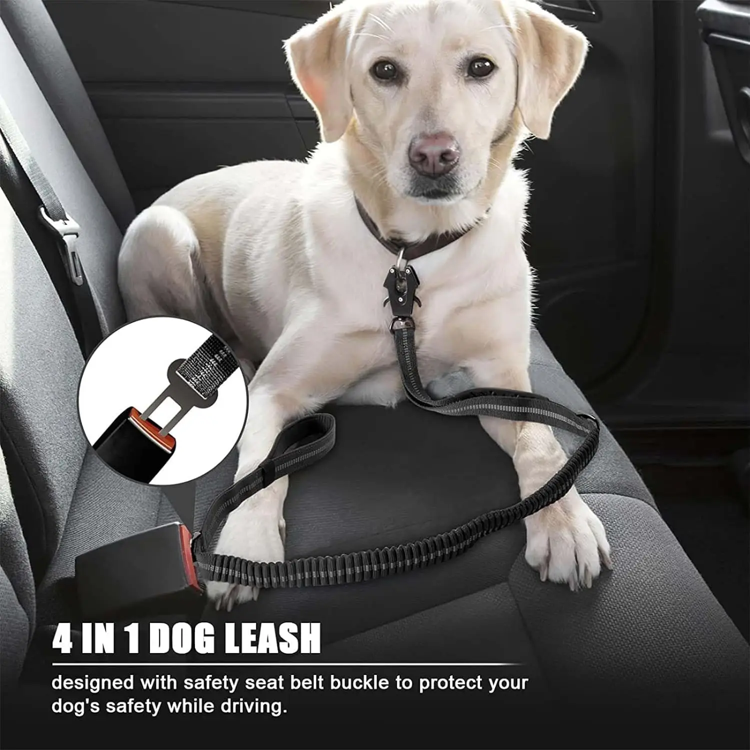 Reflective Shock Absorbing Bungee Dog Leash with Seatbelt Clip - Image 4