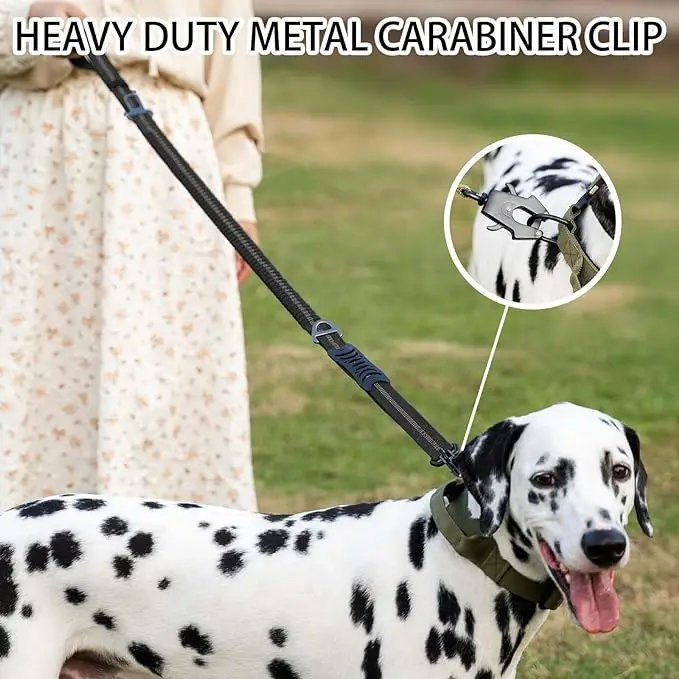 Reflective Shock Absorbing Bungee Dog Leash with Seatbelt Clip - Image 5