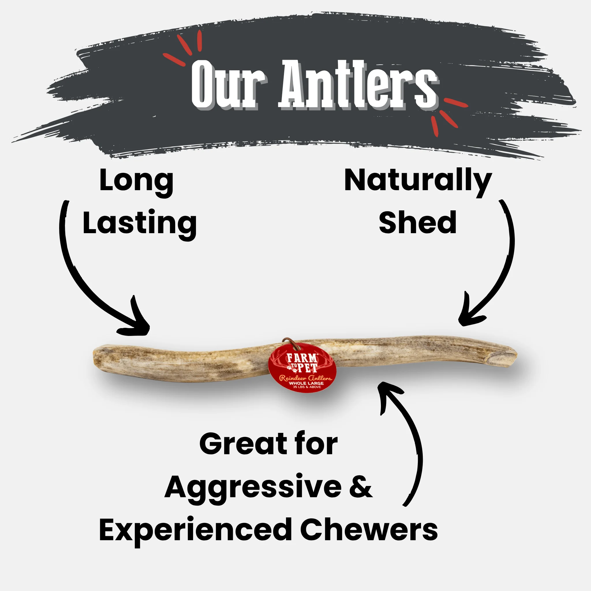 Reindeer Antler Dog Chews | Organic Chews for Dogs - Image 39