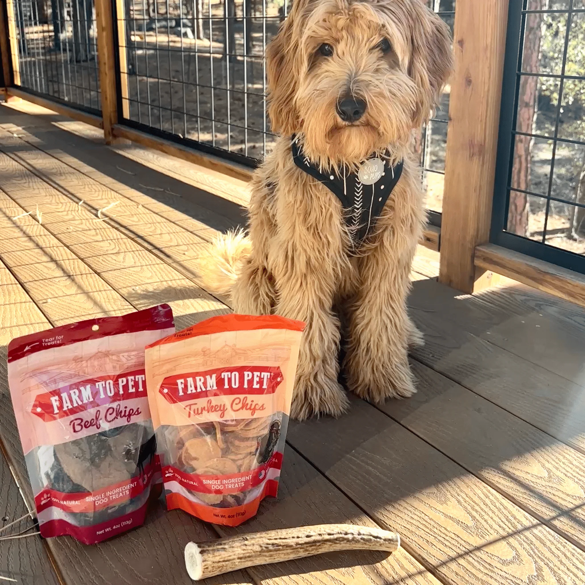 Reindeer Antler Dog Chews | Organic Chews for Dogs - Image 40