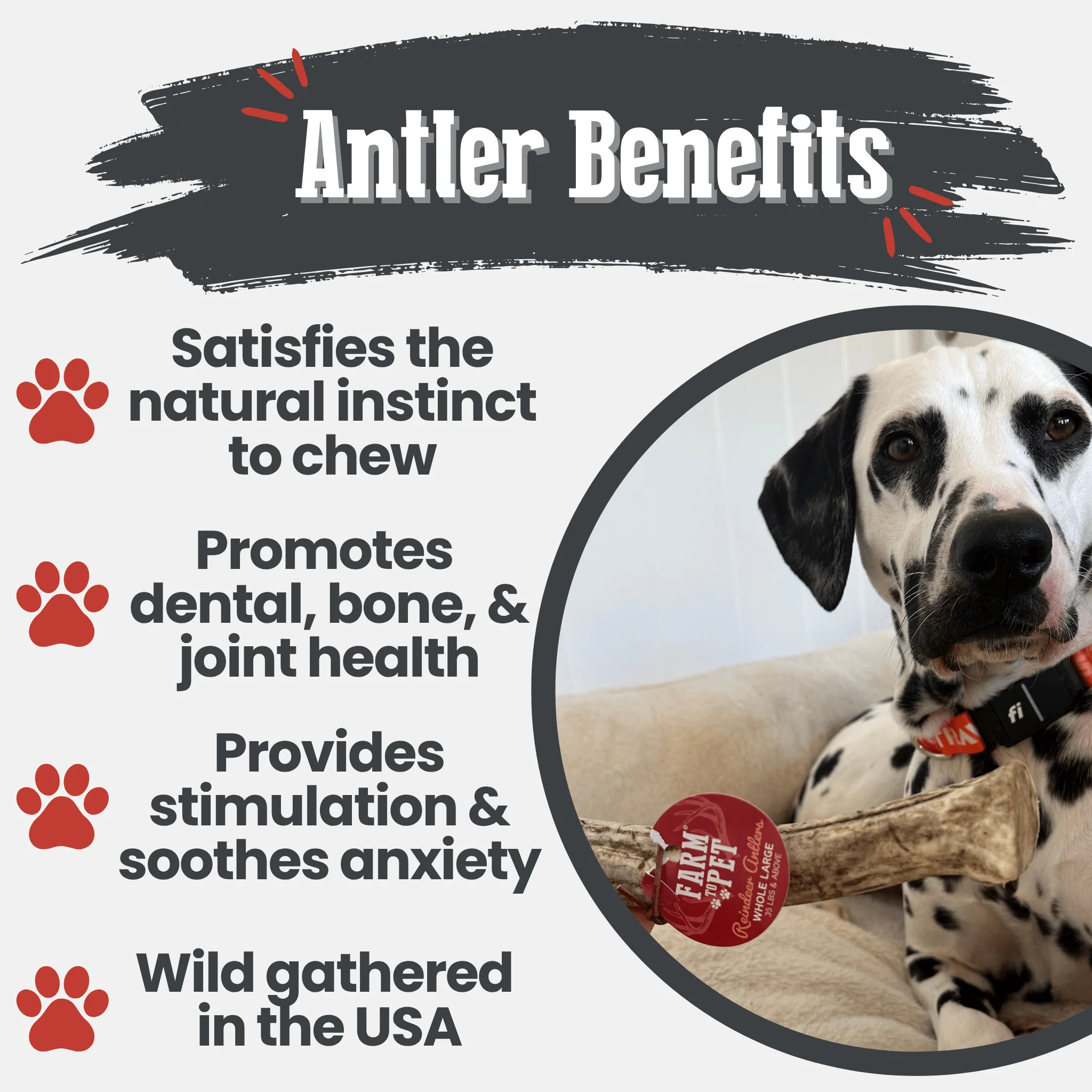 Reindeer Antler Dog Chews | Organic Chews for Dogs - Image 43