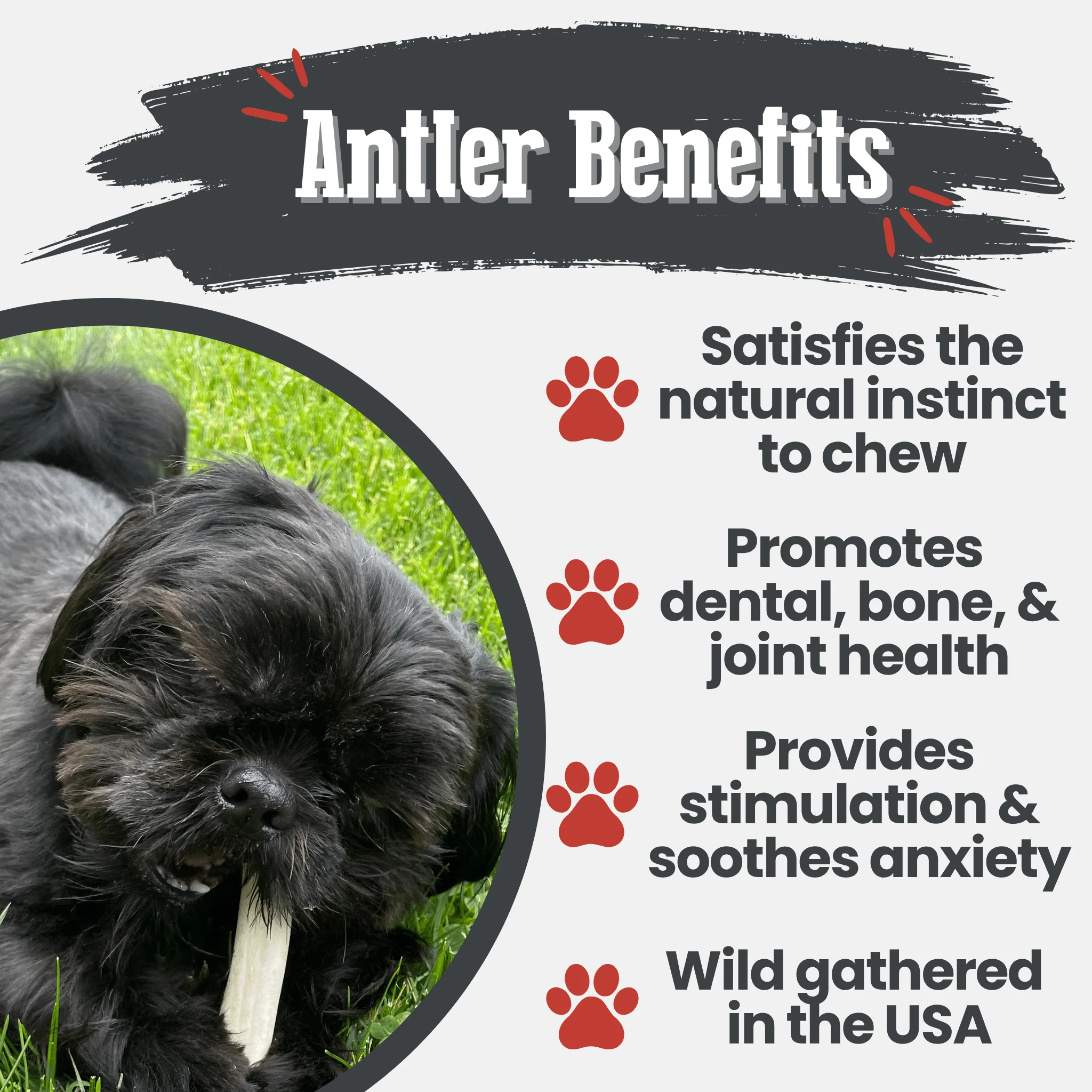 Reindeer Antler Dog Chews | Organic Chews for Dogs - Image 8
