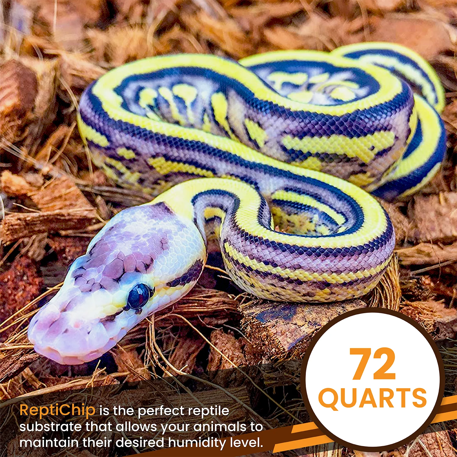 ReptiChip Breeder Blocks and Bundles - Image 4