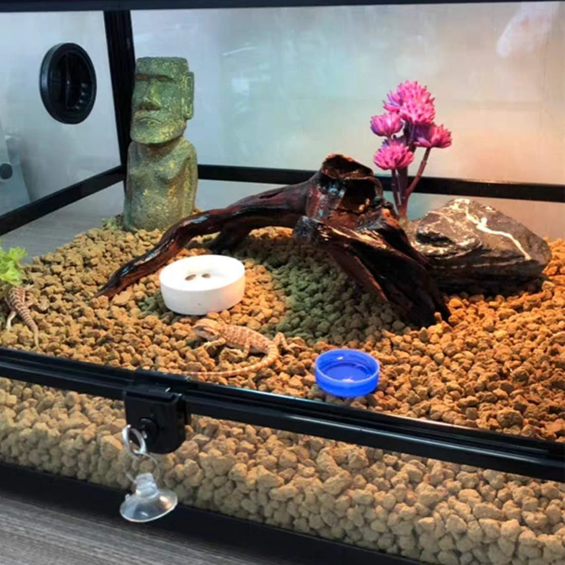 Reptile Plants Artificial - Image 4
