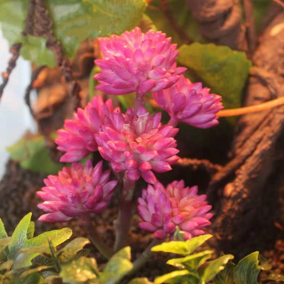 Reptile Plants Artificial - Image 6