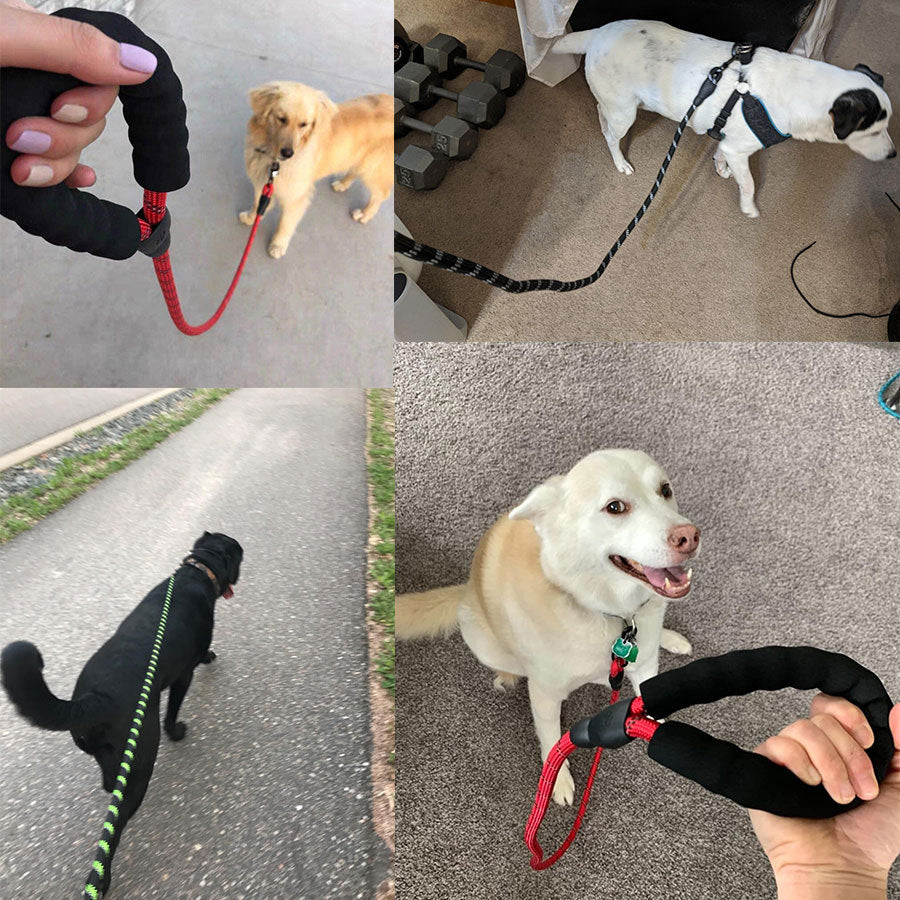 Retractable Pet Luminous Leash - Image 3