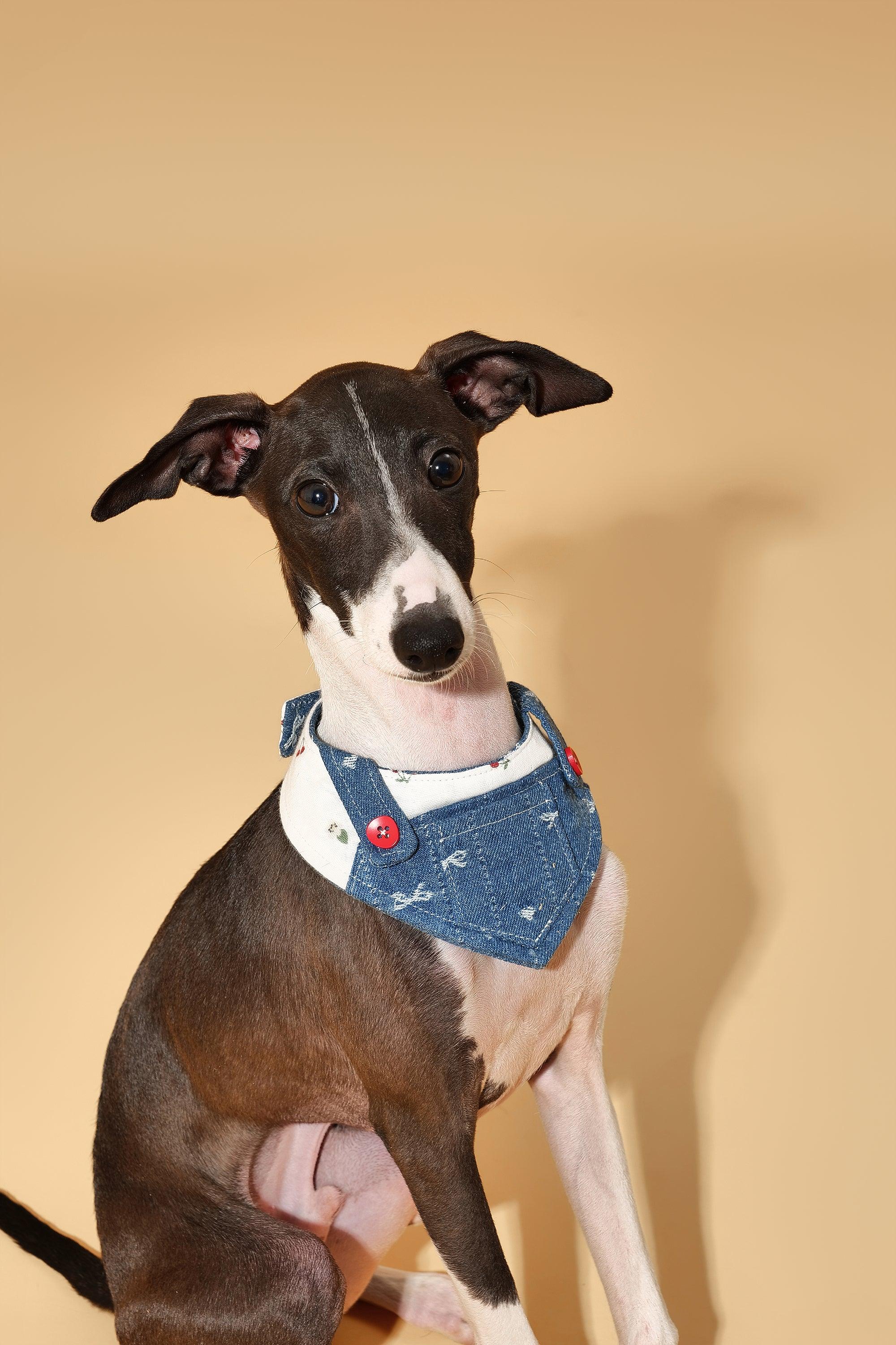 Reversible Denim Cherry Overalls Pet Bandana - Image 2