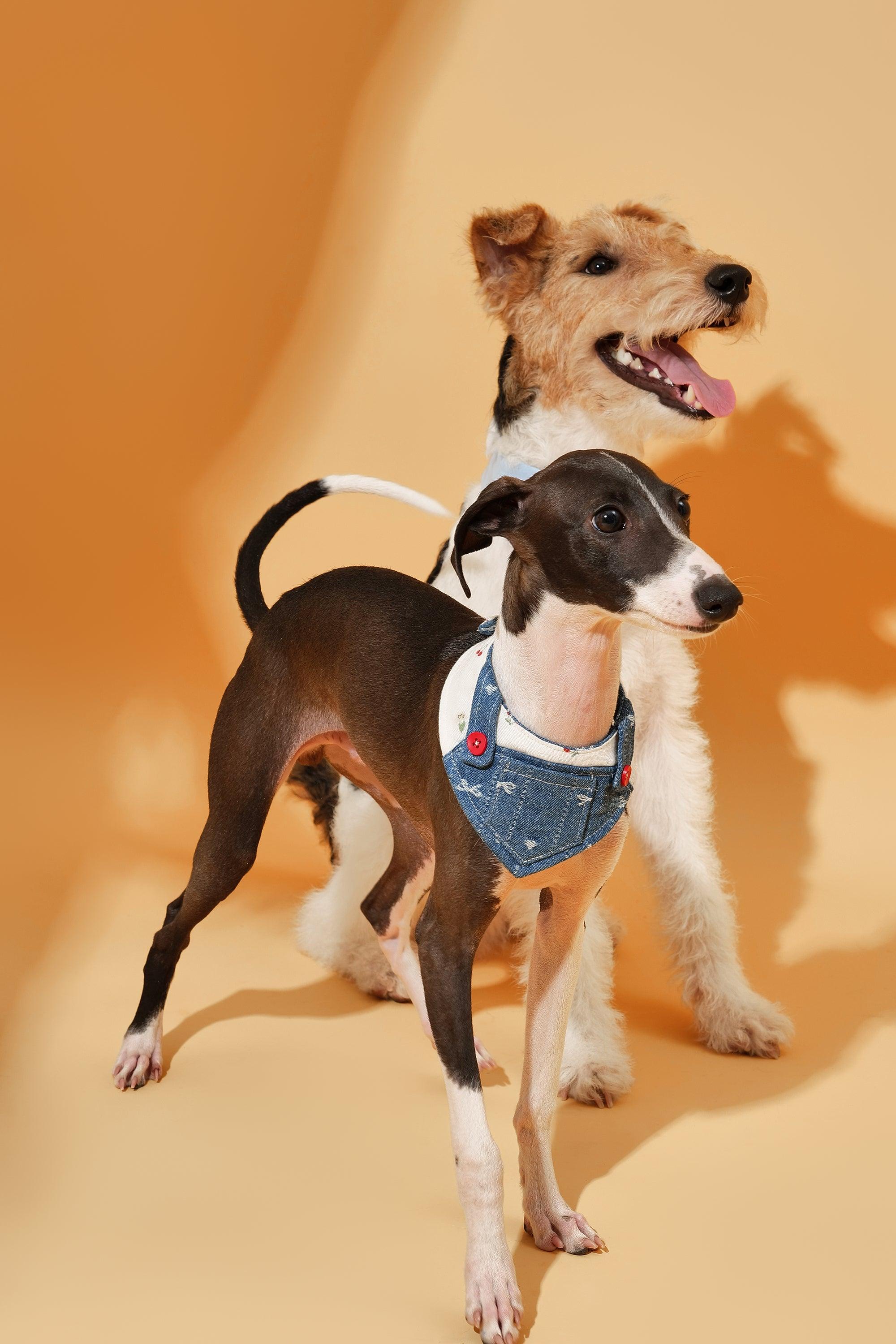 Reversible Denim Cherry Overalls Pet Bandana - Image 6
