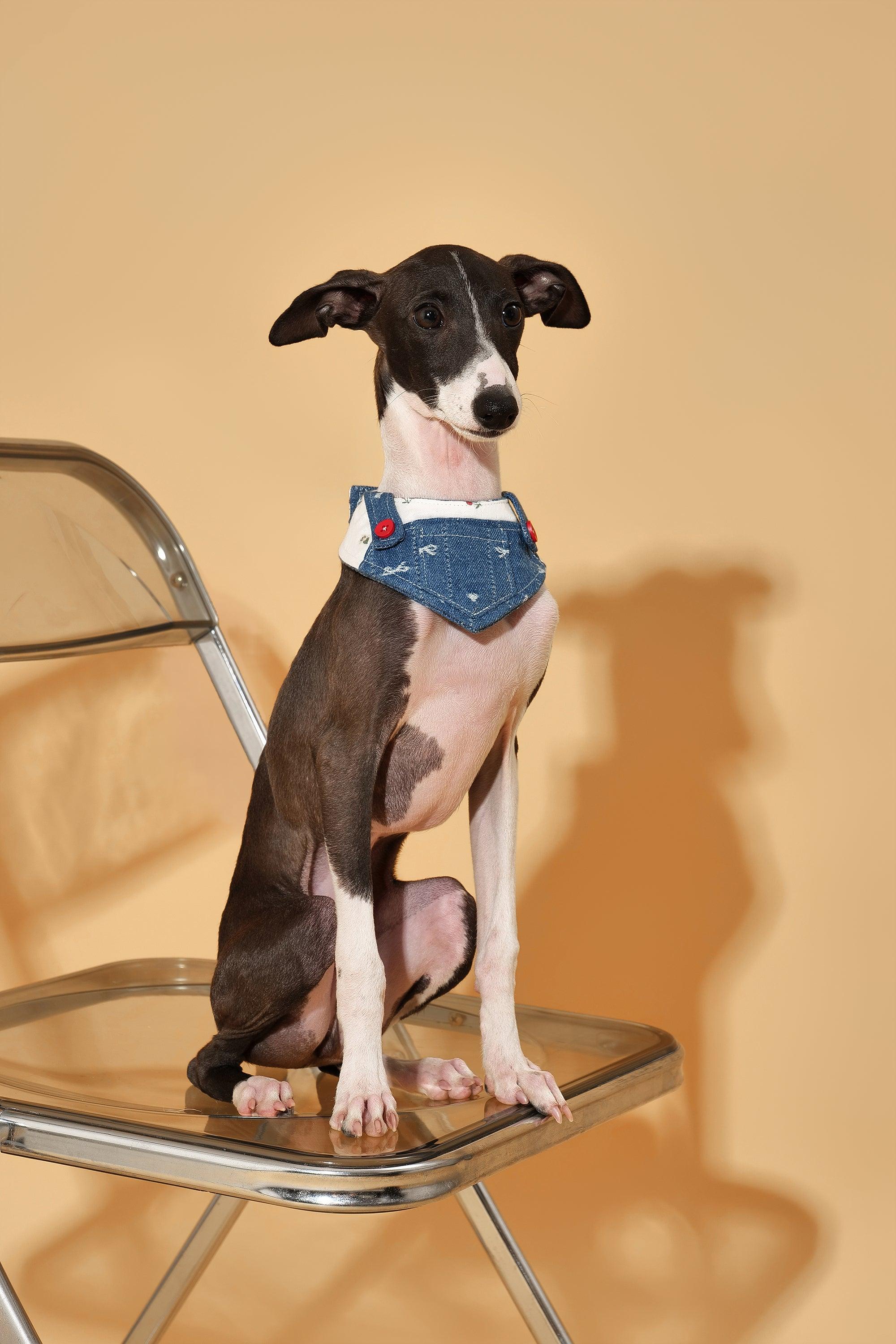 Reversible Denim Cherry Overalls Pet Bandana - Image 7
