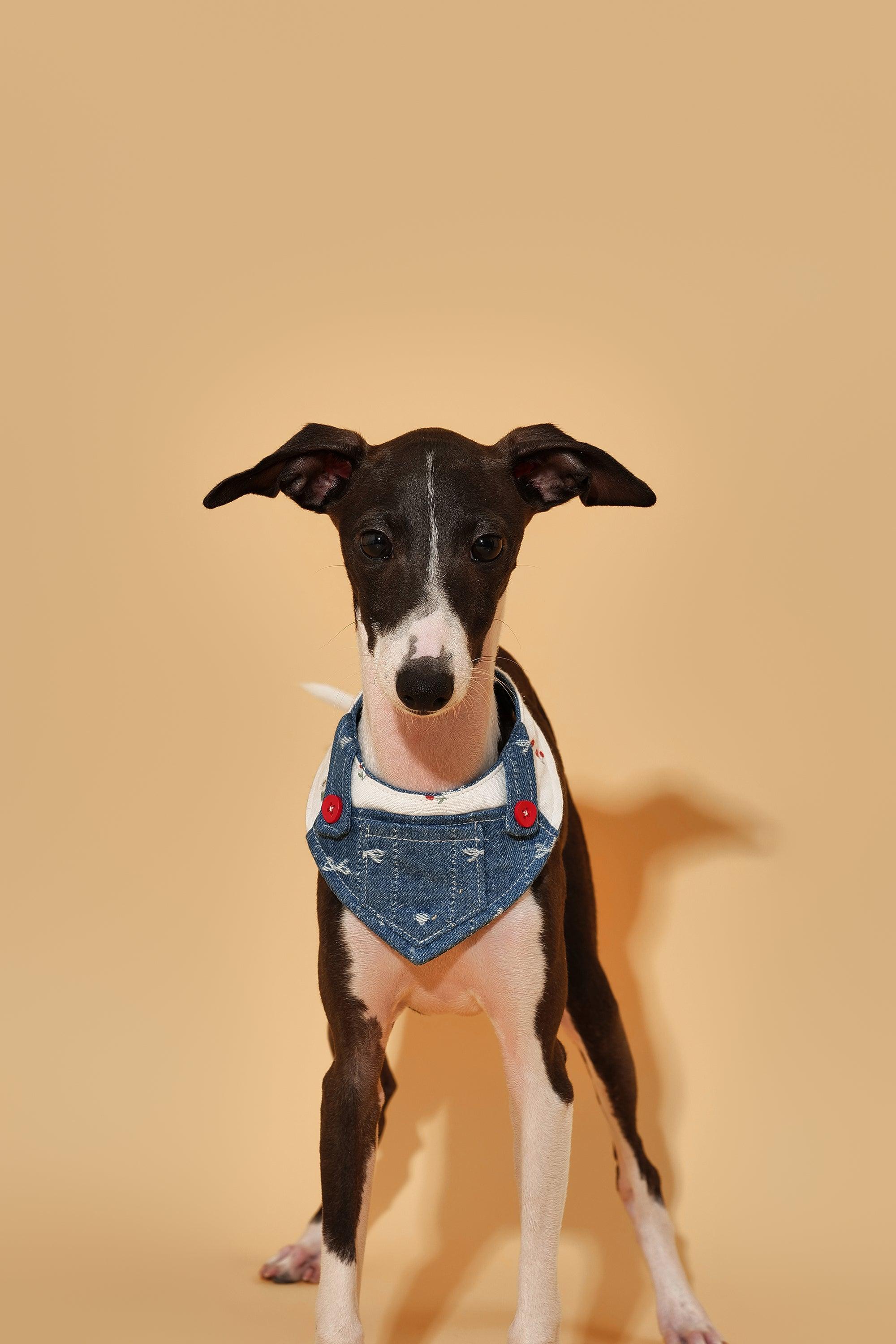 Reversible Denim Cherry Overalls Pet Bandana - Image 8