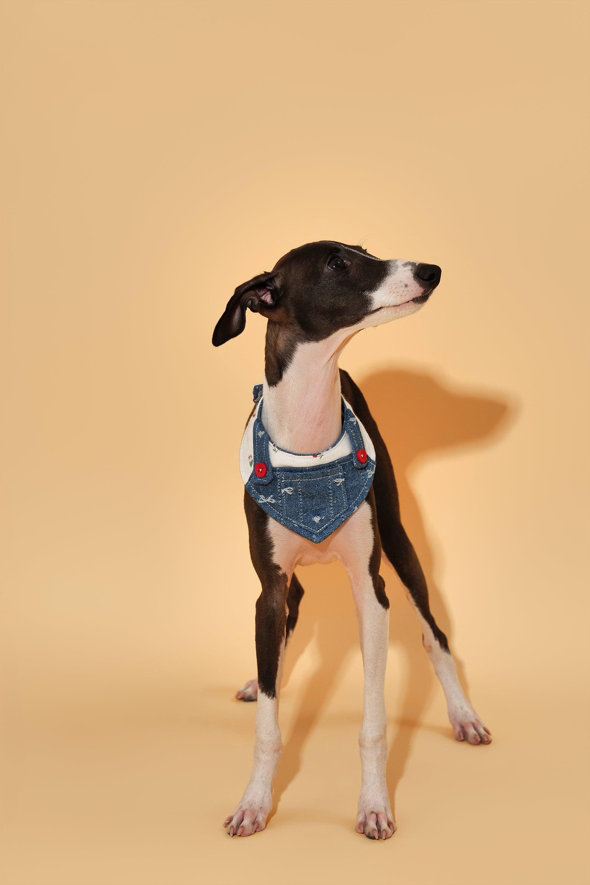 Reversible Denim Cherry Overalls Pet Bandana - Image 9