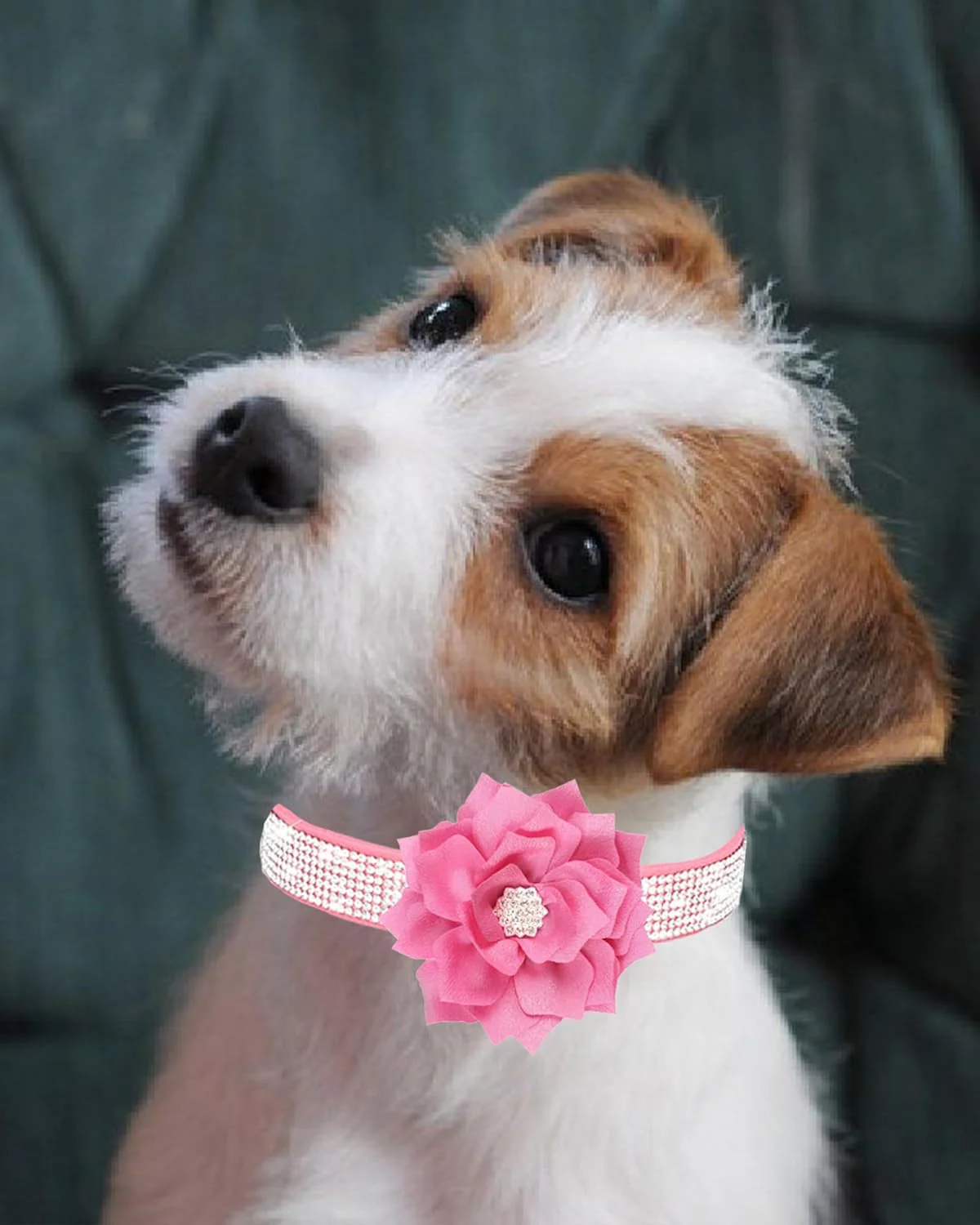 Rhinestone Sparkly Flower Dog Collar with Detachable Bloom - Image 3