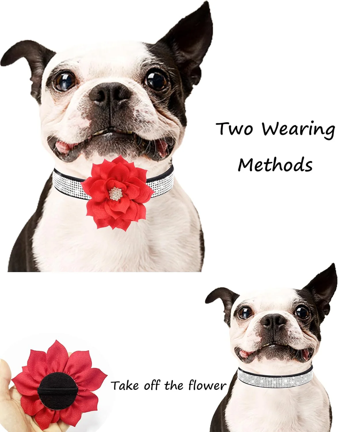 Rhinestone Sparkly Flower Dog Collar with Detachable Bloom - Image 5