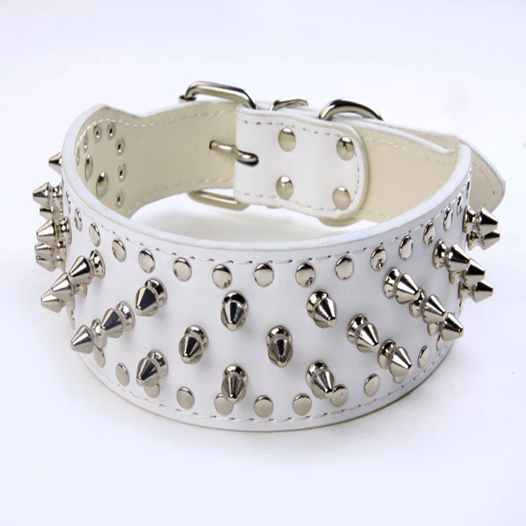 Rivet Studded Large Dog Collar - Image 9