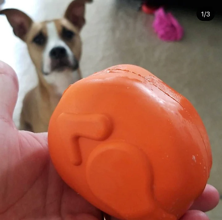 Roasted Turkey Dog Chew Toy & Treat Dispenser - USA Made | SodaPup - Image 10