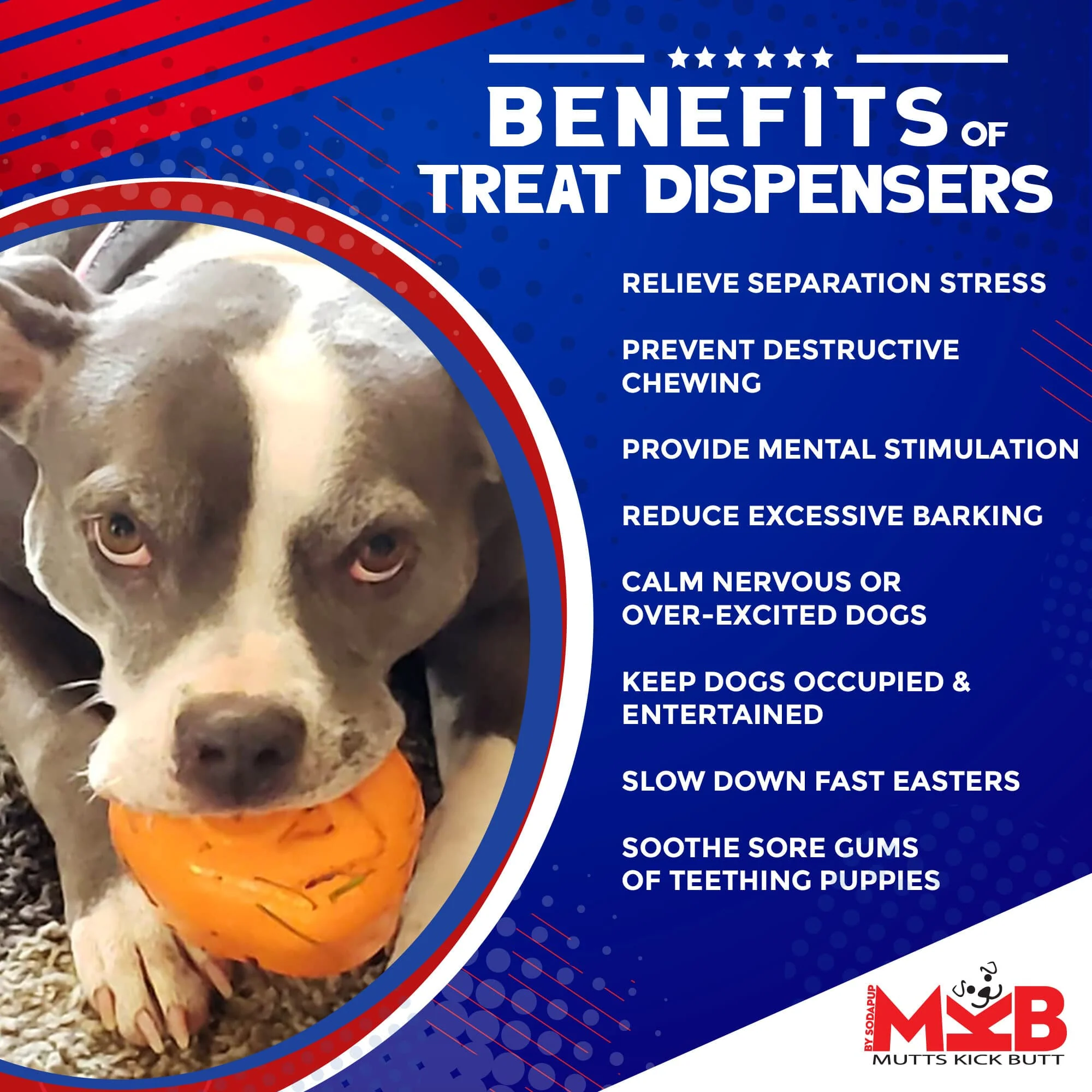 Roasted Turkey Dog Chew Toy & Treat Dispenser - USA Made | SodaPup - Image 3