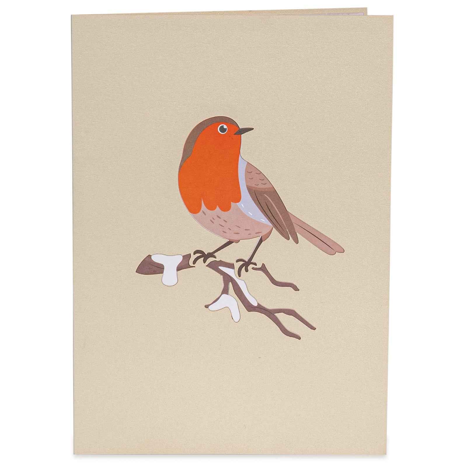 Robin Pop Up Card - Image 2