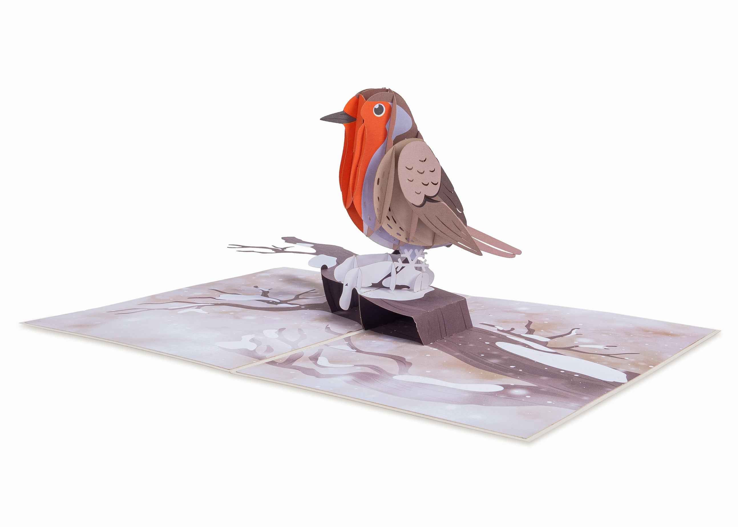 Robin Pop Up Card - Image 4