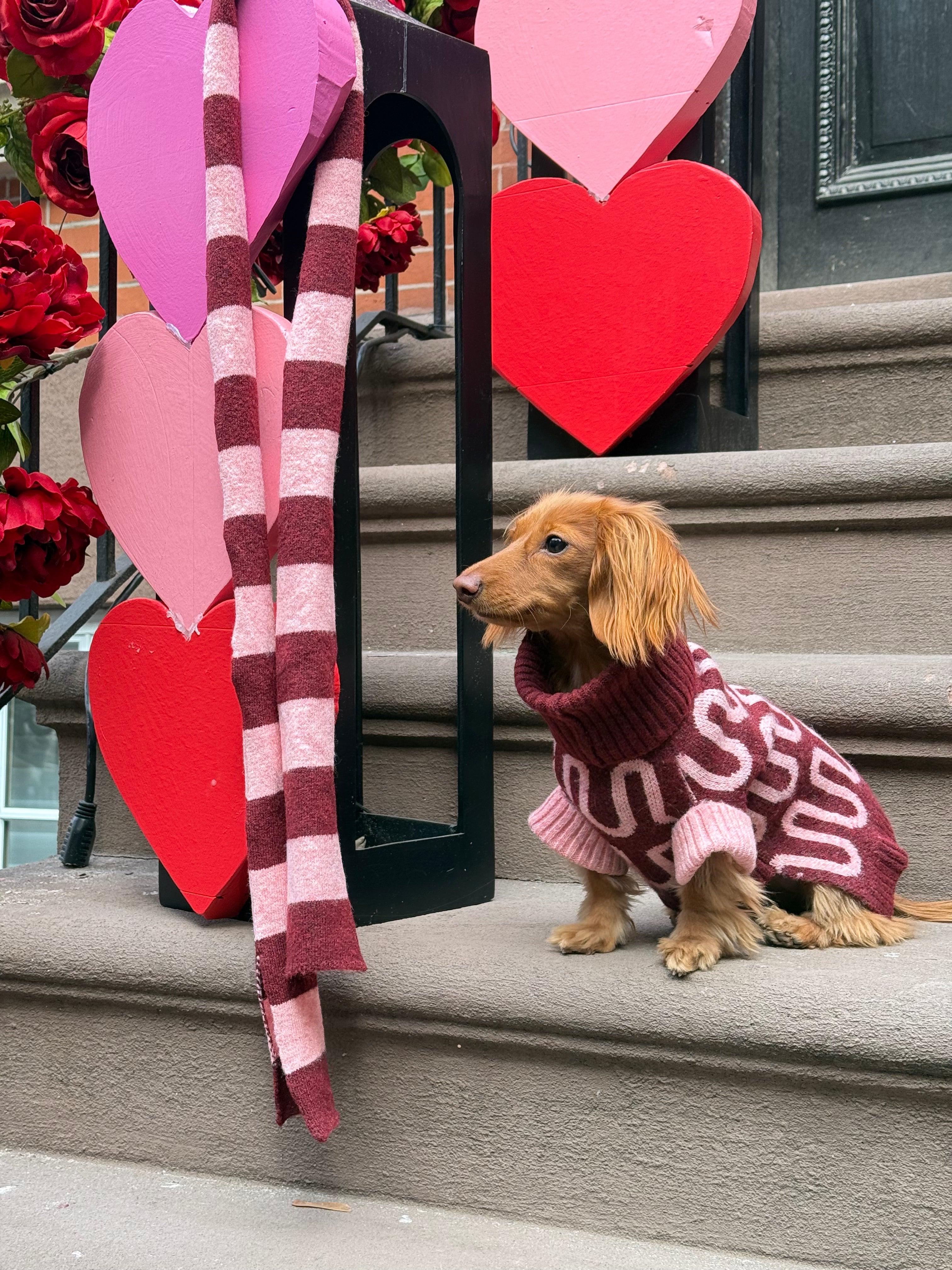 Rosé Bliss Sweater - Image 10
