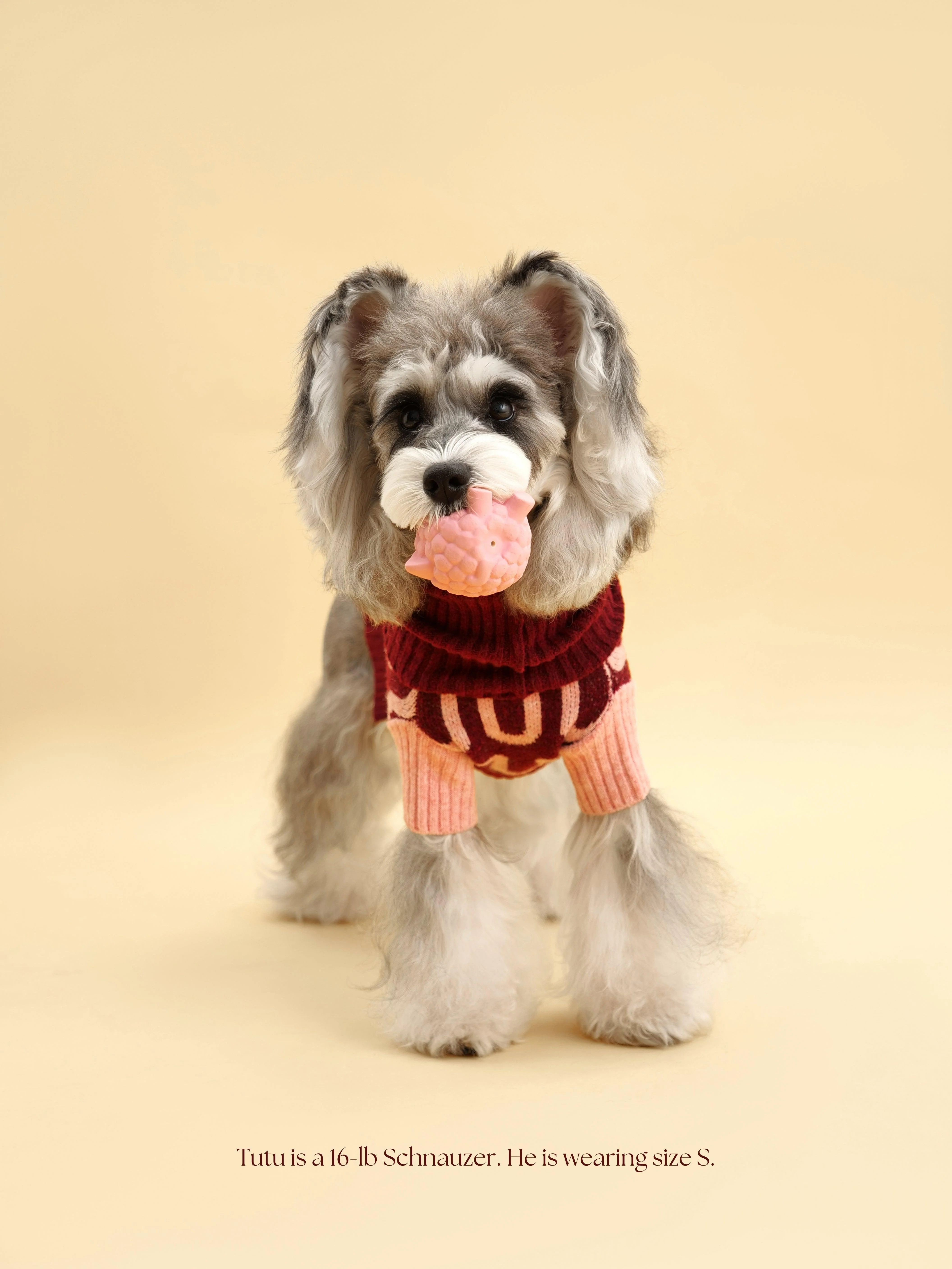 Rosé Bliss Sweater - Image 4