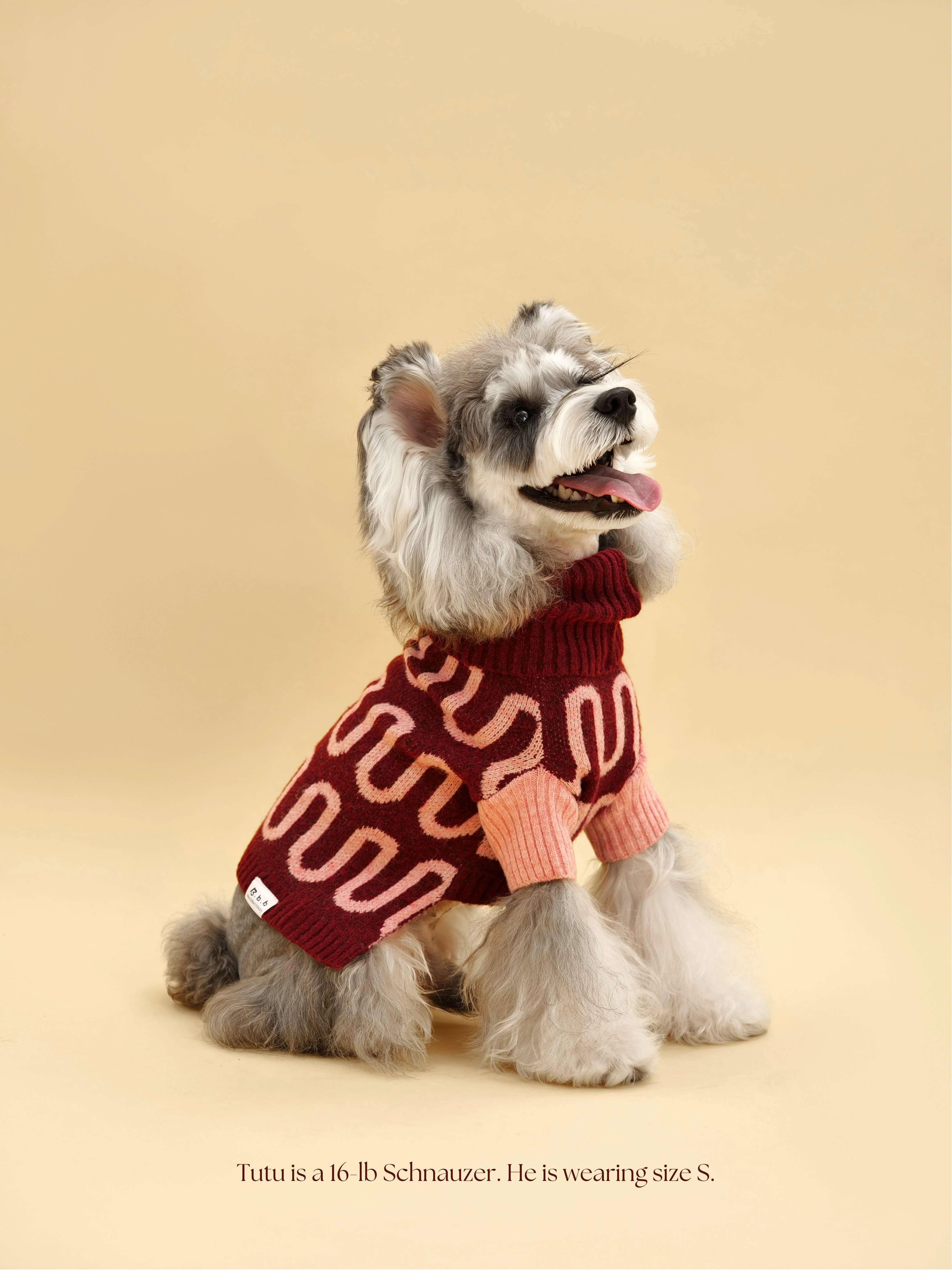 Rosé Bliss Sweater - Image 5