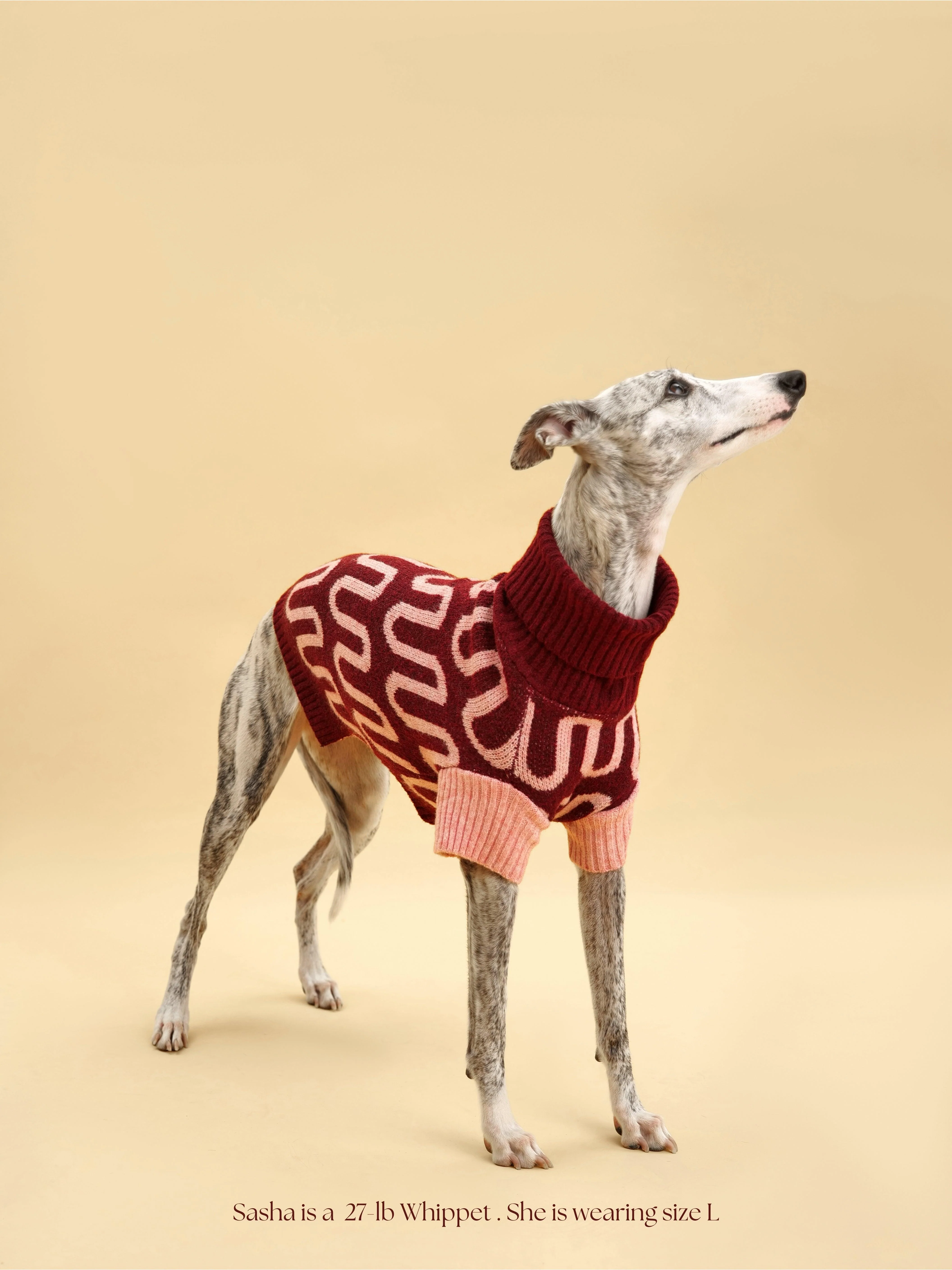 Rosé Bliss Sweater - Image 6