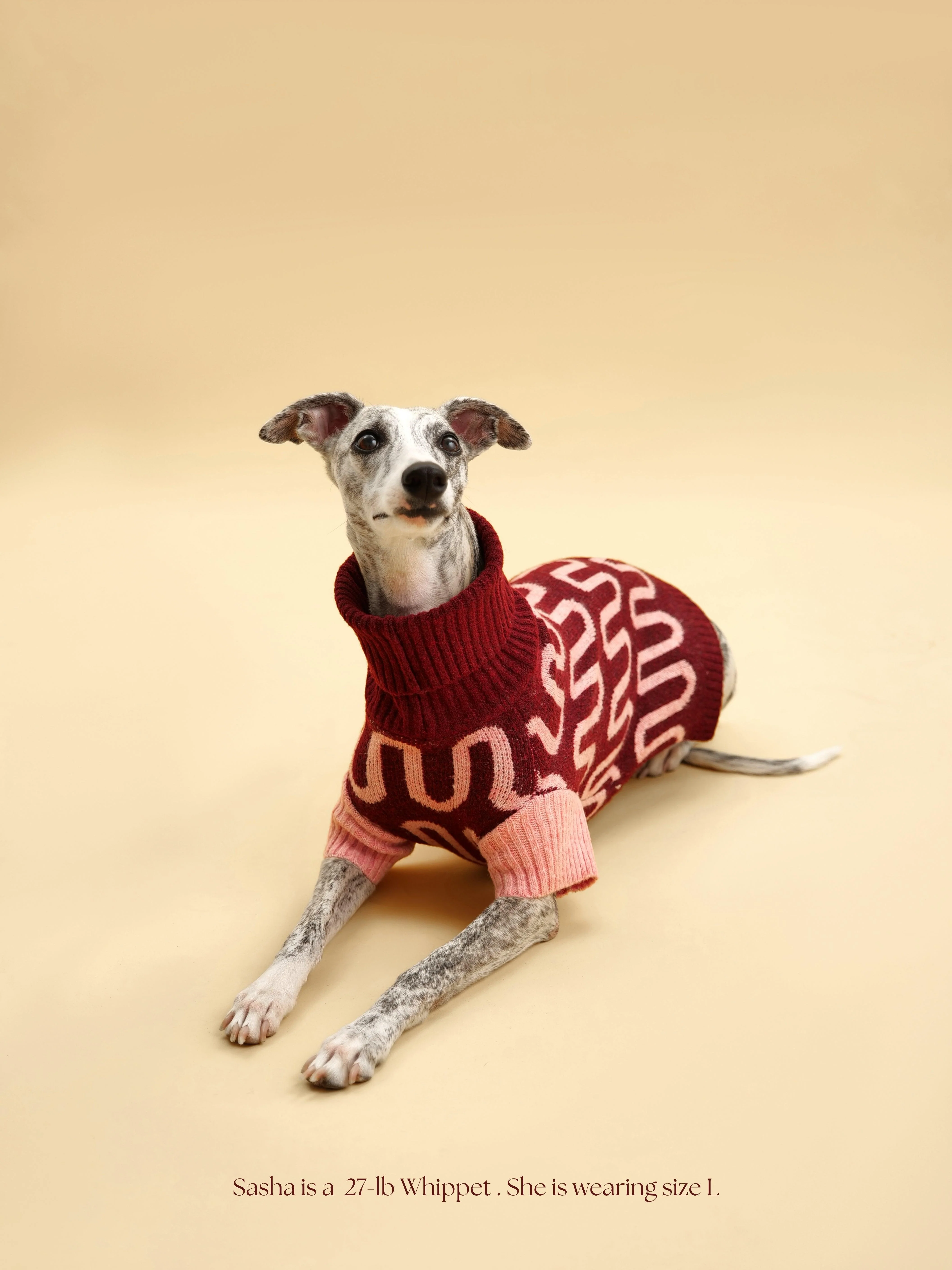 Rosé Bliss Sweater - Image 7