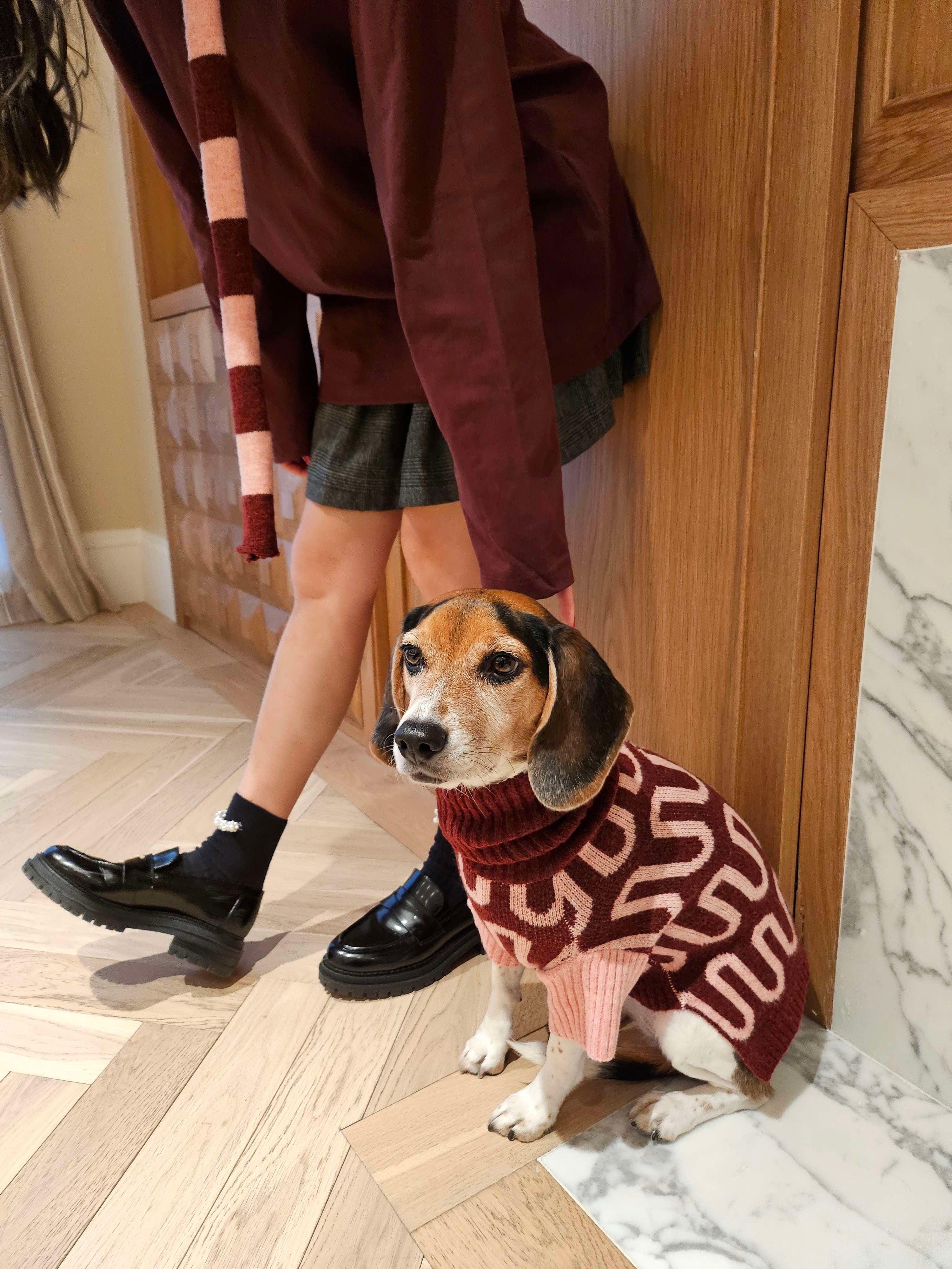Rosé Bliss Sweater - Image 8