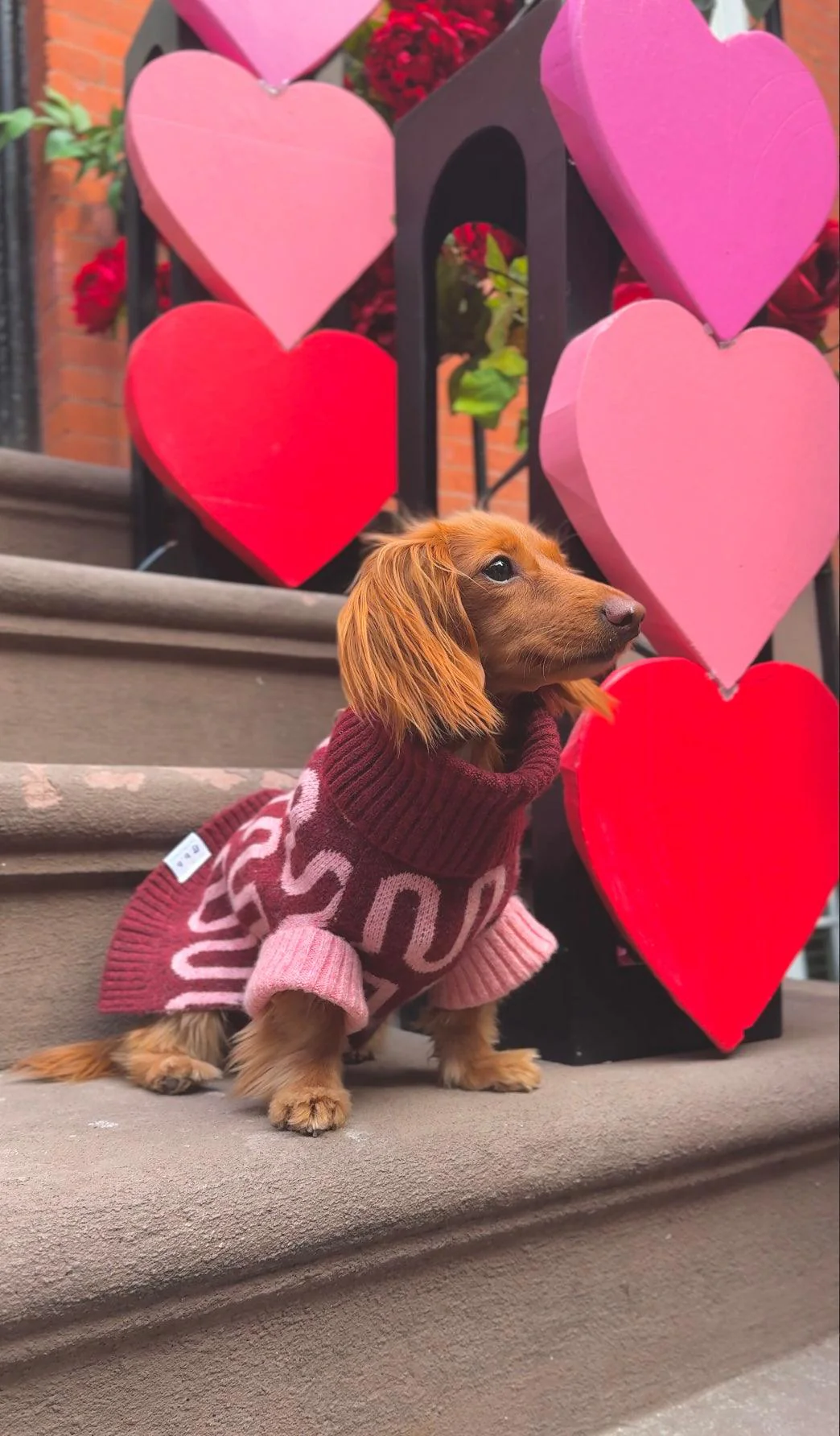 Rosé Bliss Sweater - Image 9