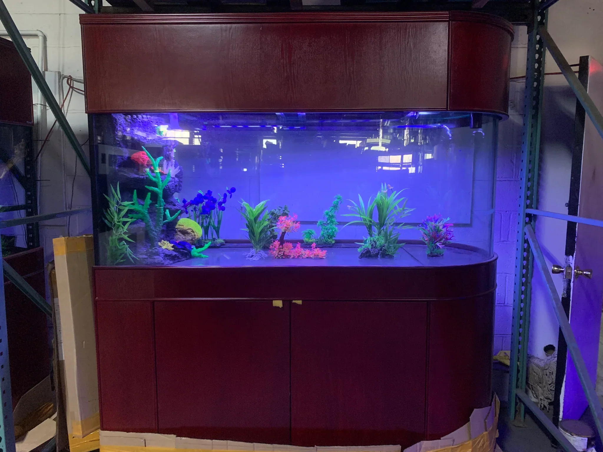 Rose Cherry Color * 120g Reef-Ready Glass Peninsula Bullet Bullnose U-Shape Aquarium Set - Image 11