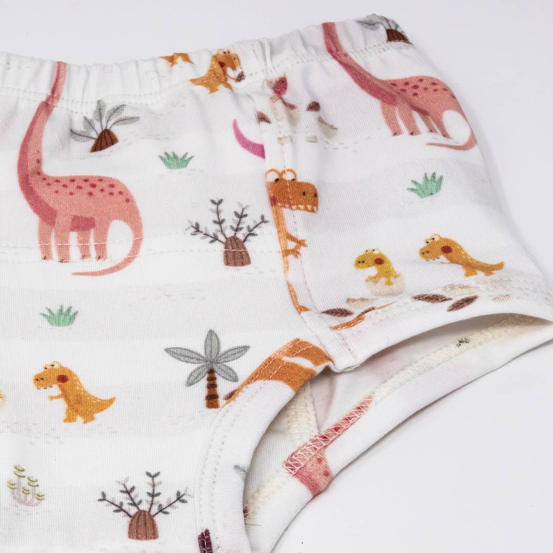 Rose Dinosaur Family Potty Training Pants - Image 2