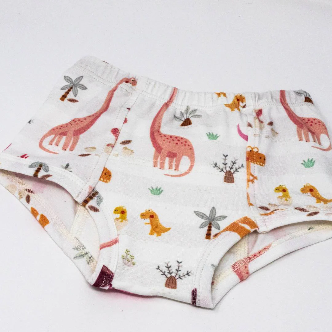 Rose Dinosaur Family Potty Training Pants - Image 3