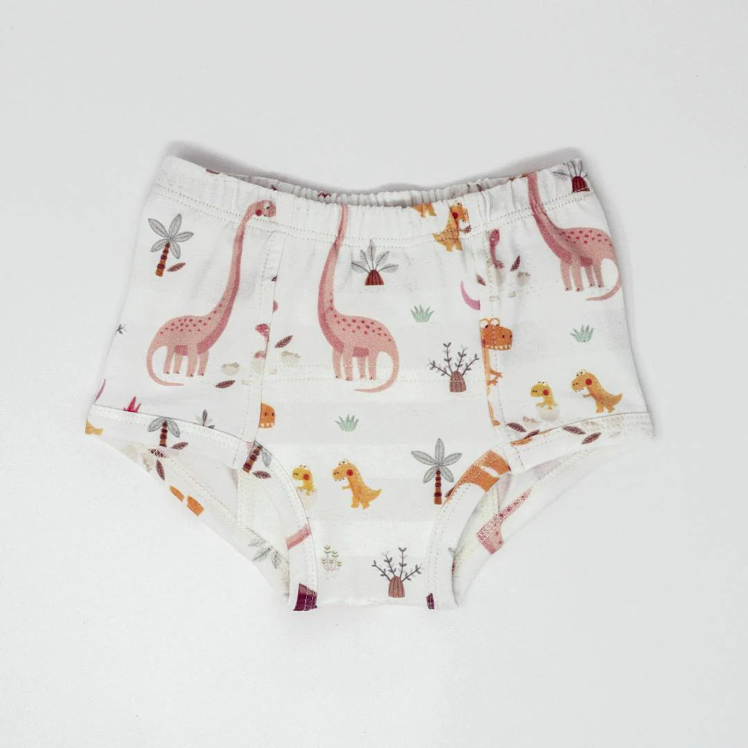Rose Dinosaur Family Potty Training Pants - Image 4