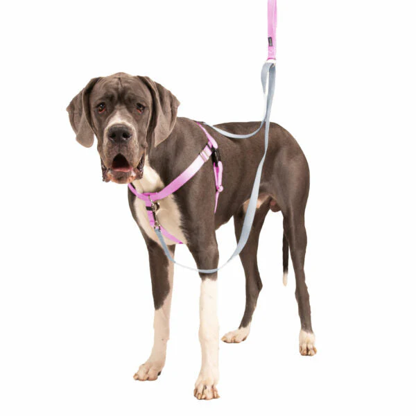 Rose Pink Freedom No-Pull Dog Harness - Image 9