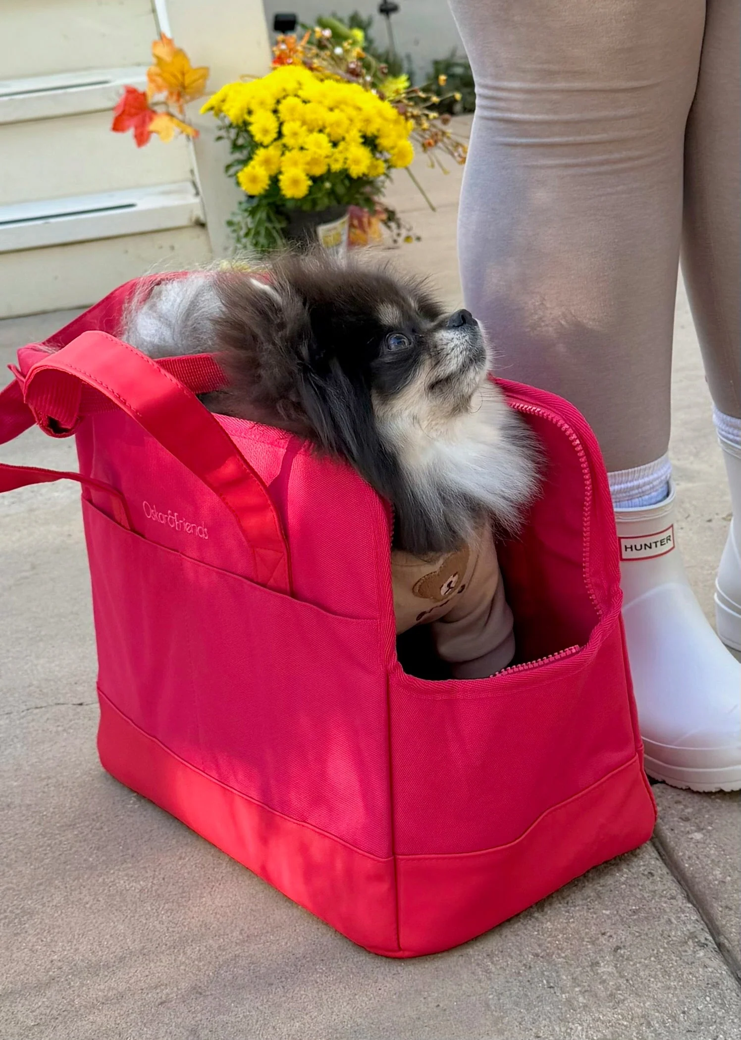 Rouge Berry Pet Tote Bag - Image 2