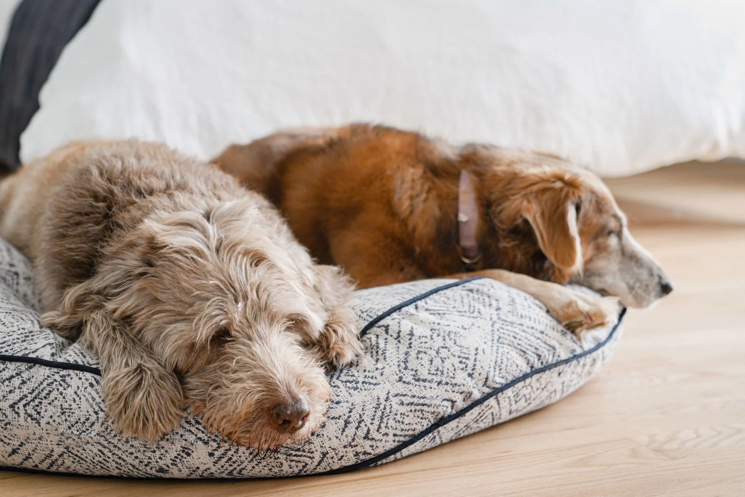 Round Pet Bed in Sapphire Spaniel - Image 2