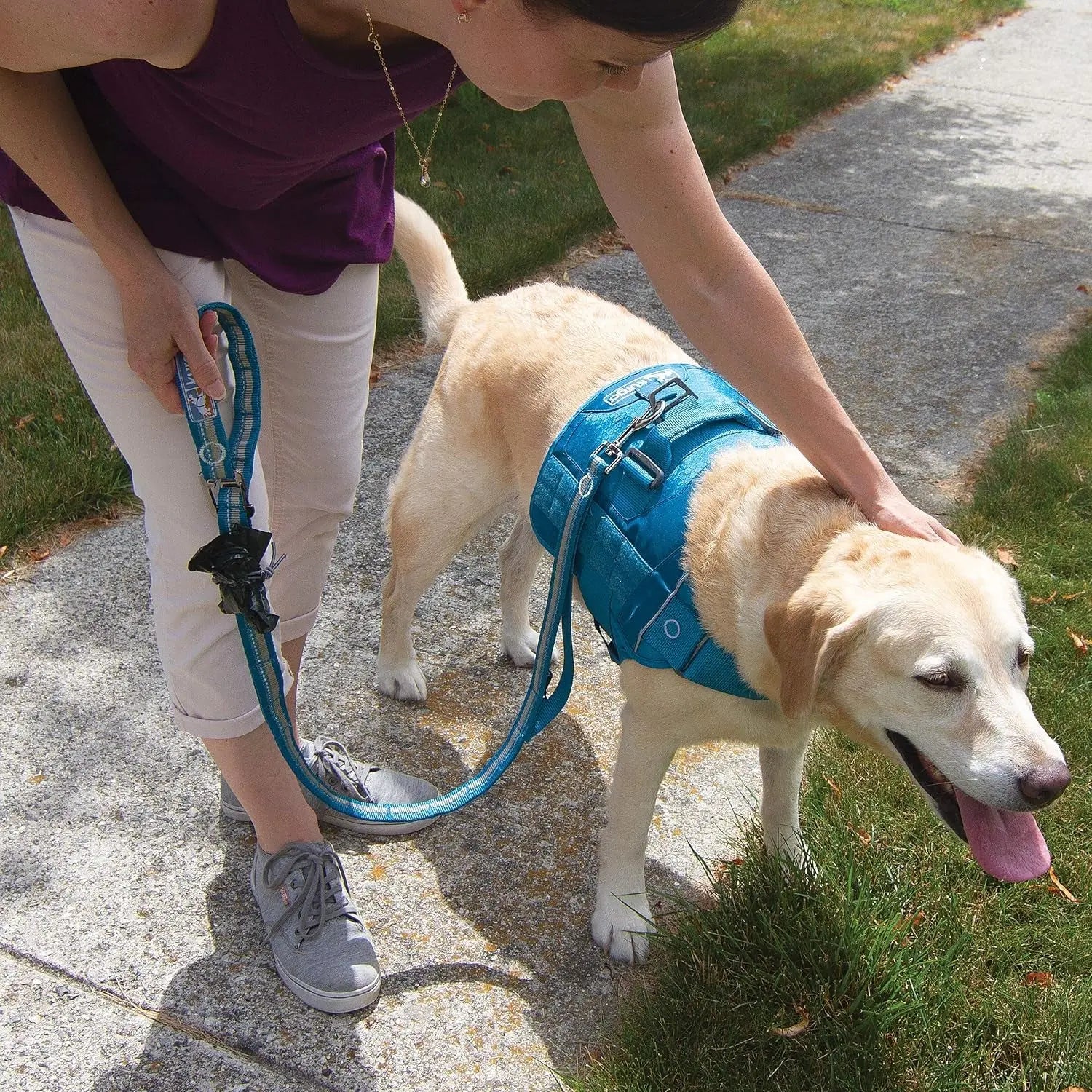 Rsg Stub Leash for Dogs | Adjustable Dog Leash | Hands Free Dog Leash for Walking, Jogging, or Running | Customizable Molle-Compatible Pet Lead | Training Handle | Web Keeper | Reflective | 48” - Image 5