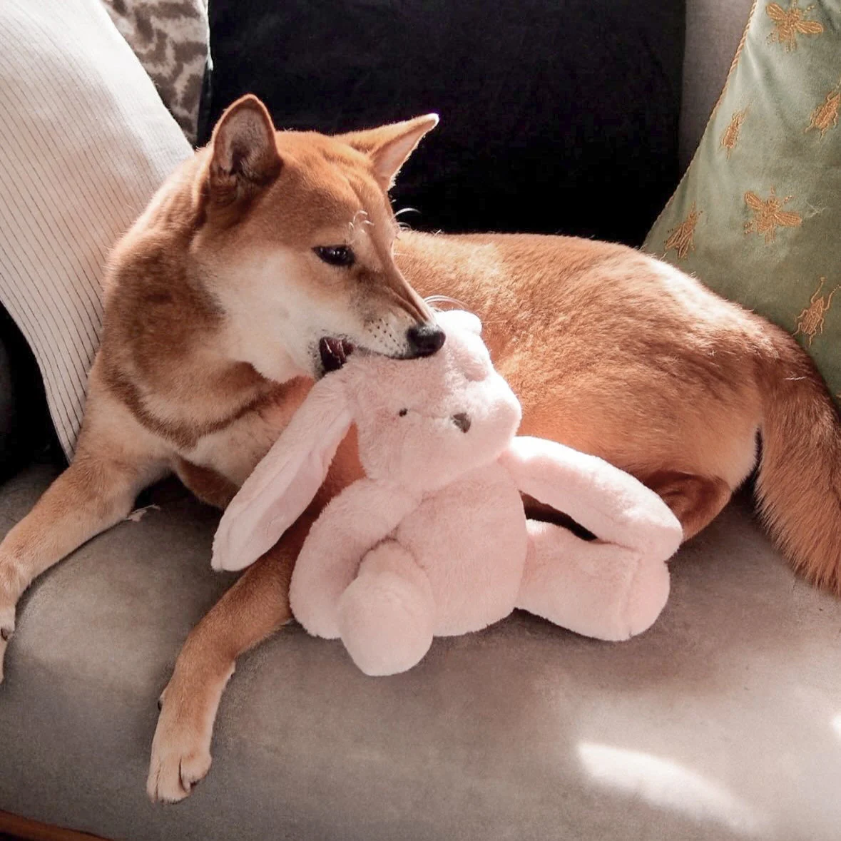 Ruby Maxi Plushie - Image 5