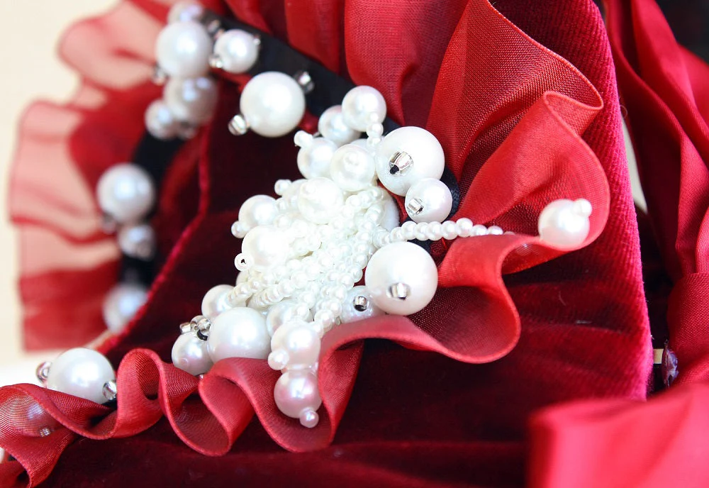 Ruby Rosette Pet Dress - Image 6