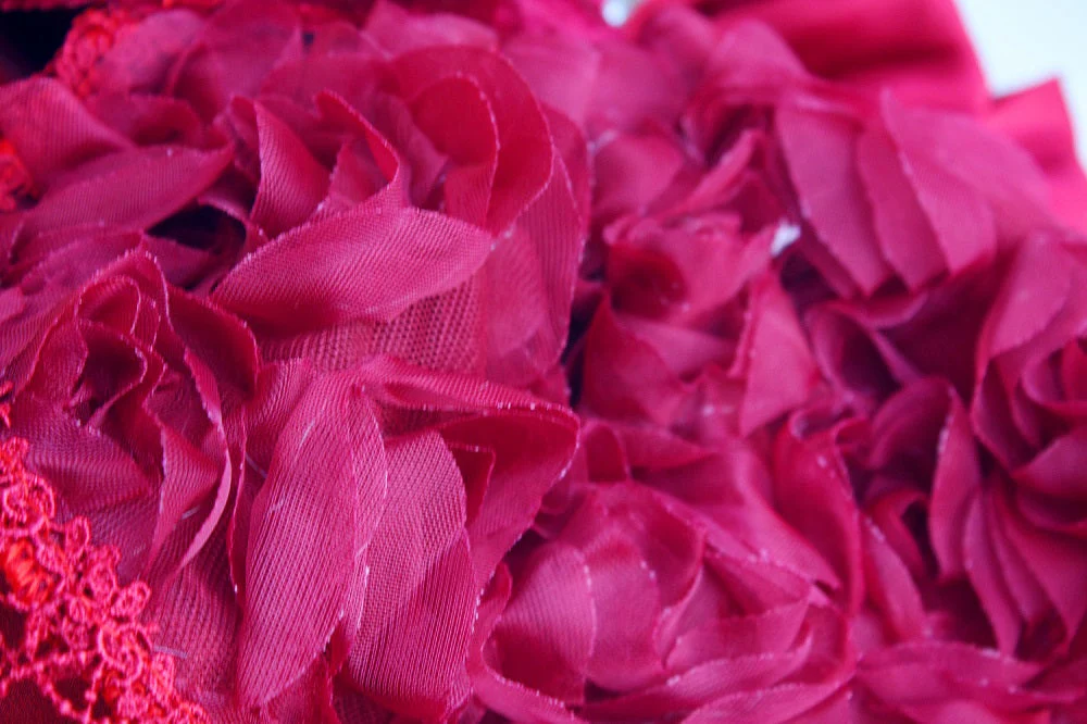 Ruby Rosette Pet Dress - Image 8