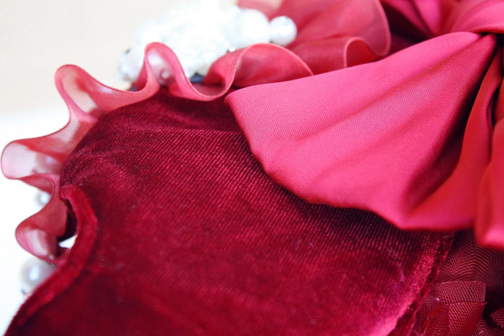 Ruby Rosette Pet Dress - Image 9