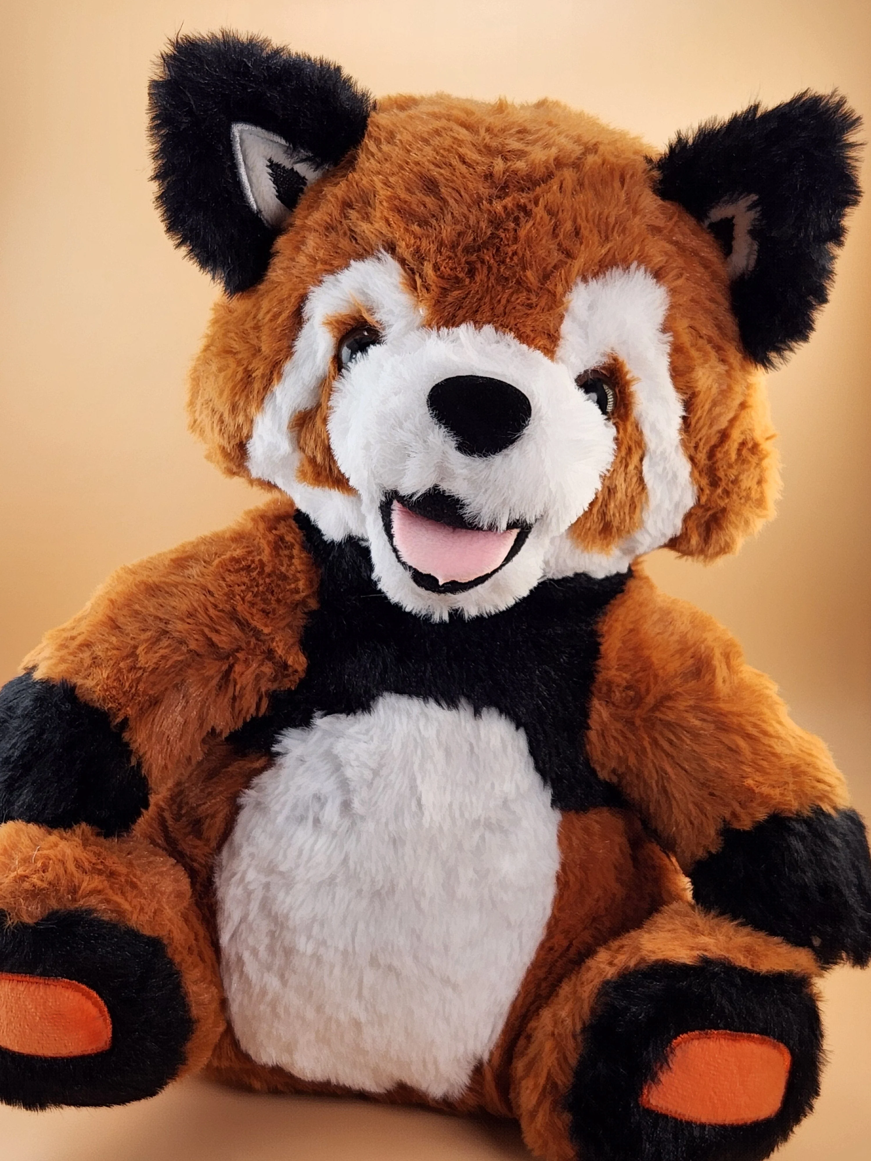 Ruby the Red Panda - Image 2