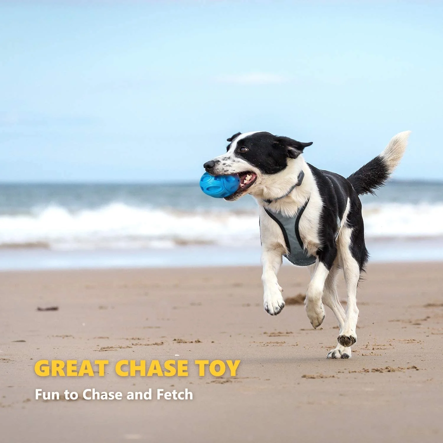 Rugby Sounding Dog Ball Toy - Image 3