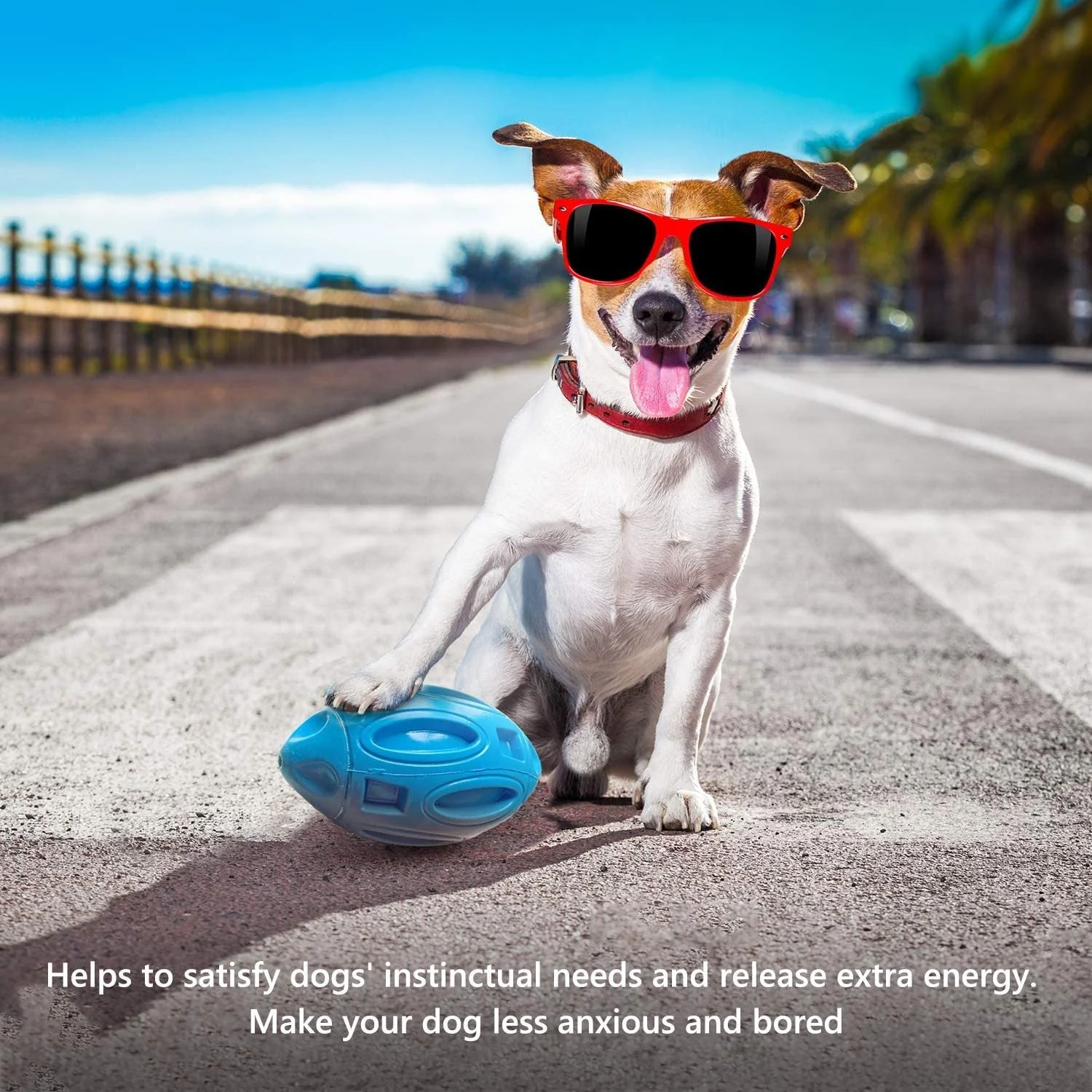 Rugby Sounding Dog Ball Toy - Image 4