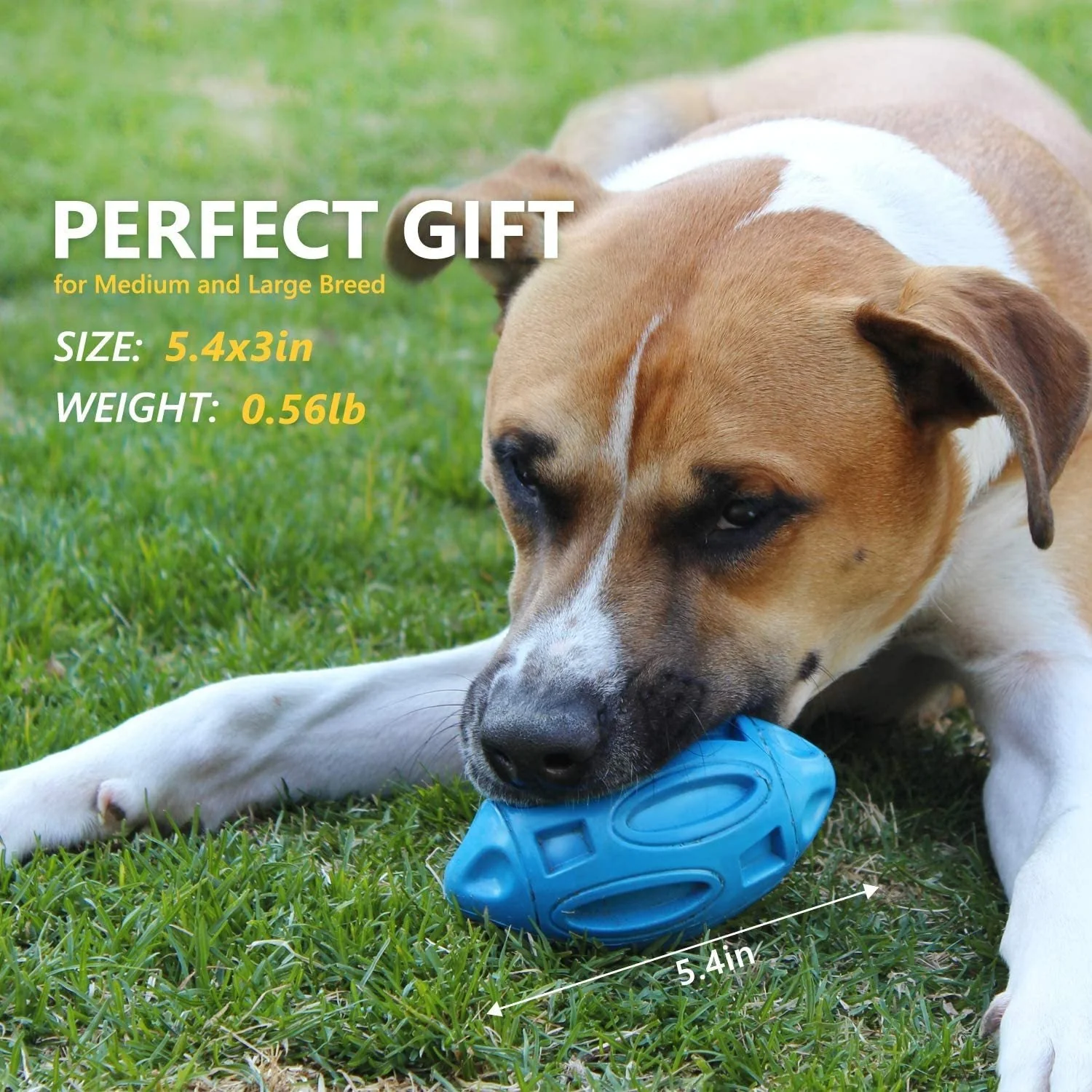 Rugby Sounding Dog Ball Toy - Image 6