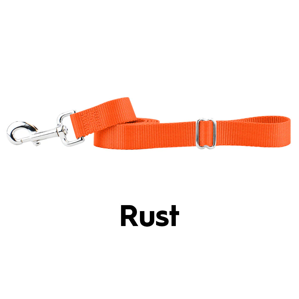 Rust Nylon Dog Leash (1" only) - Image 2