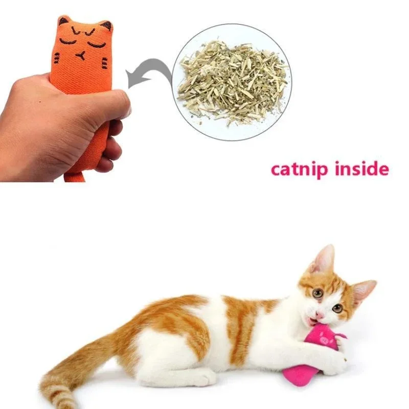 Rustle Sound Catnip Plush Pillow – Cute Cat Chew & Play Toy - Image 3